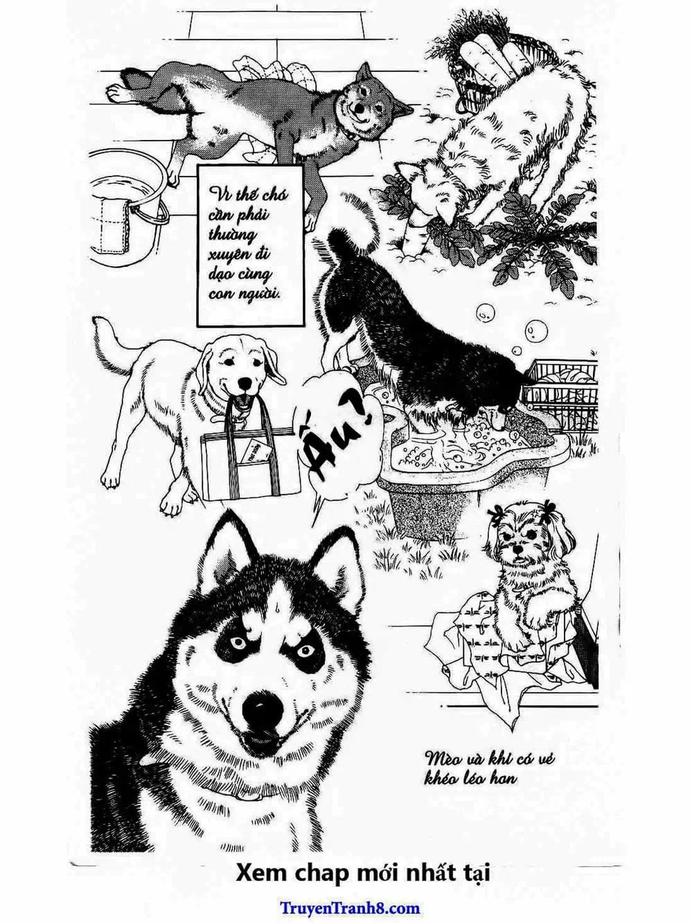 Truyện Tranh Bác Sĩ Thú Y - Doubutsu No Oisha-San trang 4