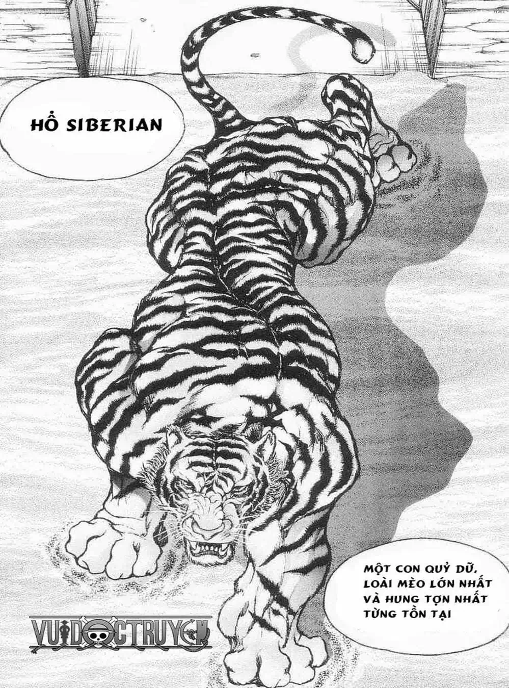 Truyện Tranh Baki - Con Trai Của Quỷ trang 5