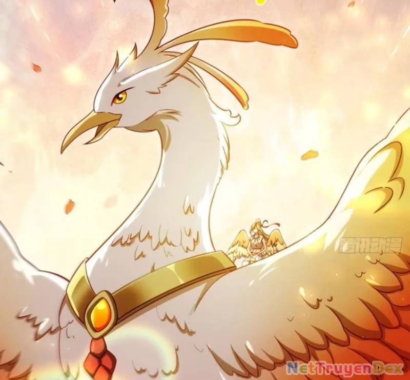 Truyện Tranh Bắt Đầu Đánh Dấu Hoang Cổ Thánh Thể trang 6