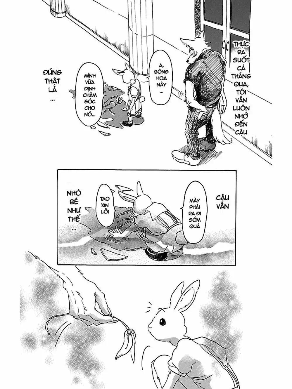 Truyện Tranh Bởi Vì Chúng Ta Đều Là Những Ngôi Sao - Beastars trang 10