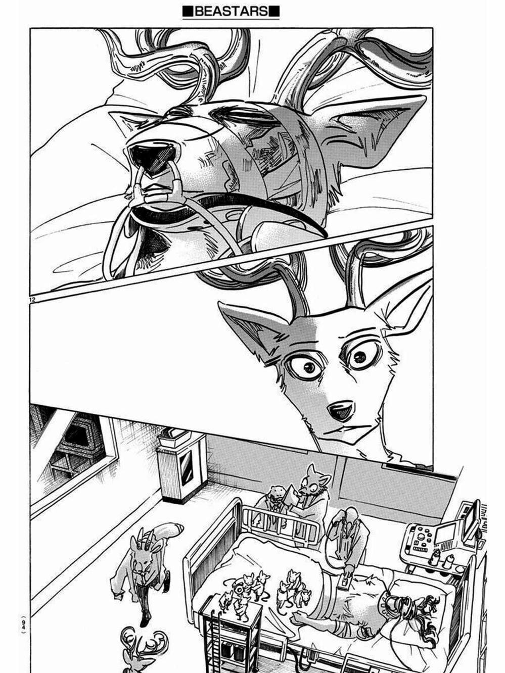 Truyện Tranh Bởi Vì Chúng Ta Đều Là Những Ngôi Sao - Beastars trang 10