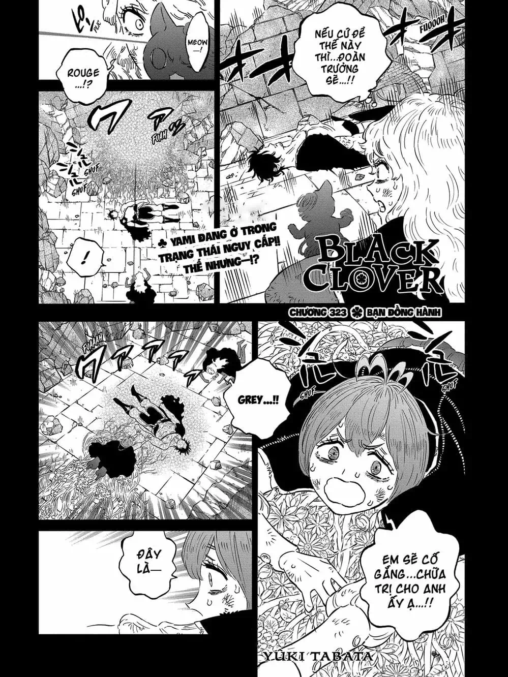 Truyện Tranh Pháp Sư Không Phép Thuật - Black Clover trang 5