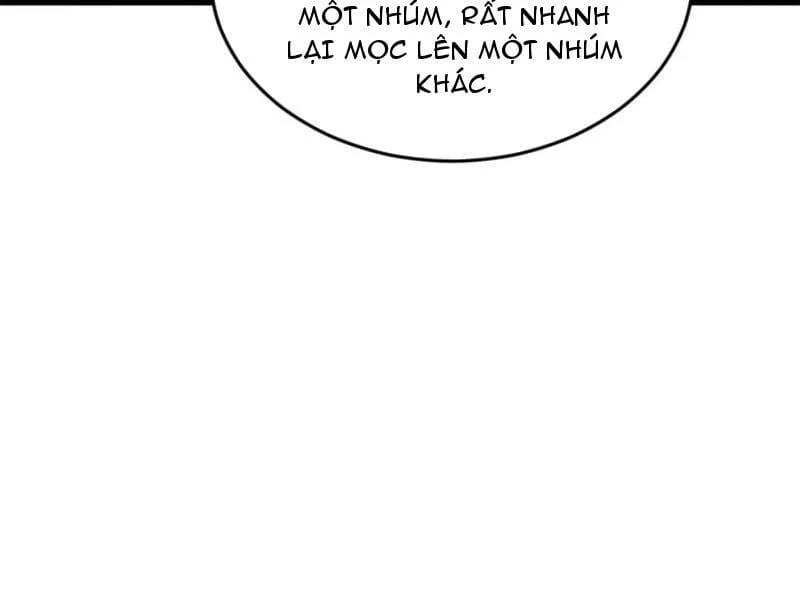 Truyện Tranh Chàng Rể Mạnh Nhất Lịch Sử trang 15902