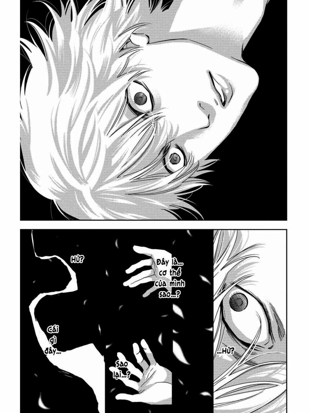 Trang 6 - Chap 41