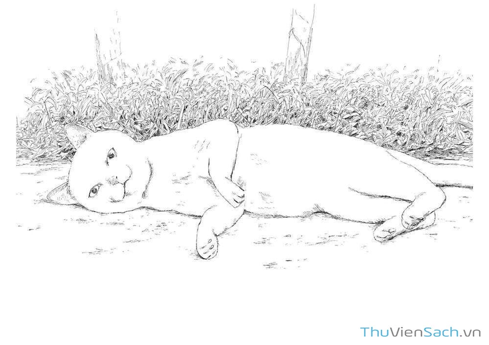 Truyện Tranh Vệt Máu Bên Đường - Chi No Wadachi trang 4