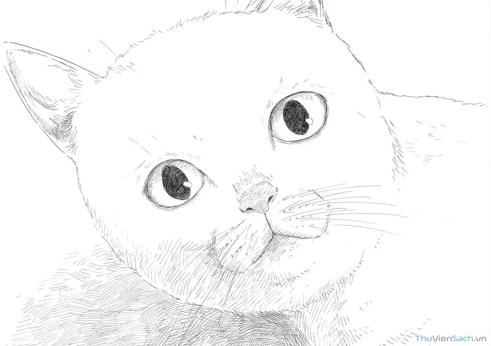 Truyện Tranh Vệt Máu Bên Đường - Chi No Wadachi trang 4