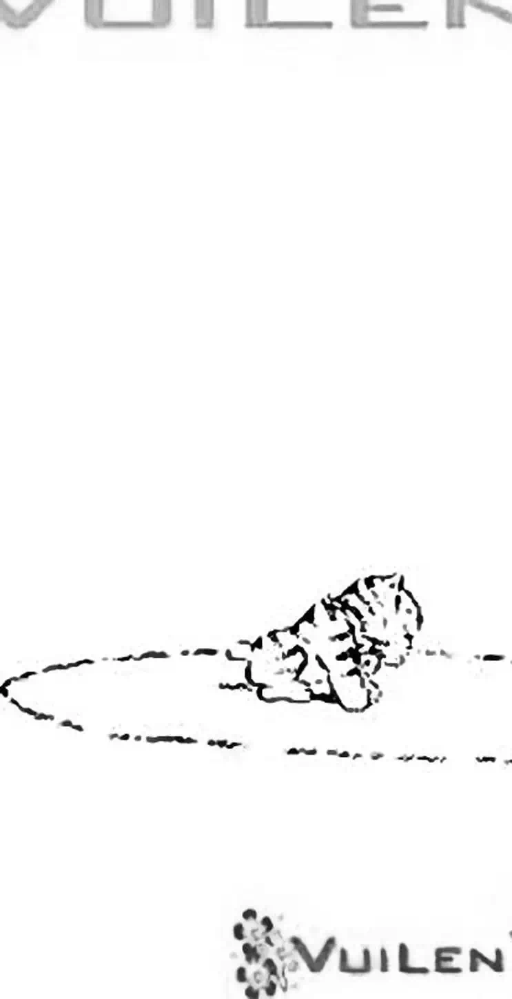 Truyện Tranh Chie - Cô Bé Hạt Tiêu trang 2