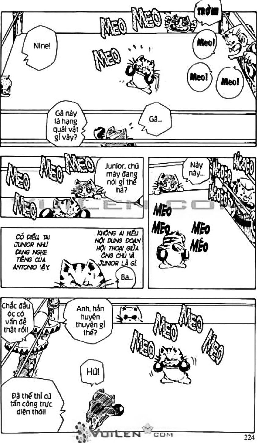 Truyện Tranh Chie - Cô Bé Hạt Tiêu trang 2