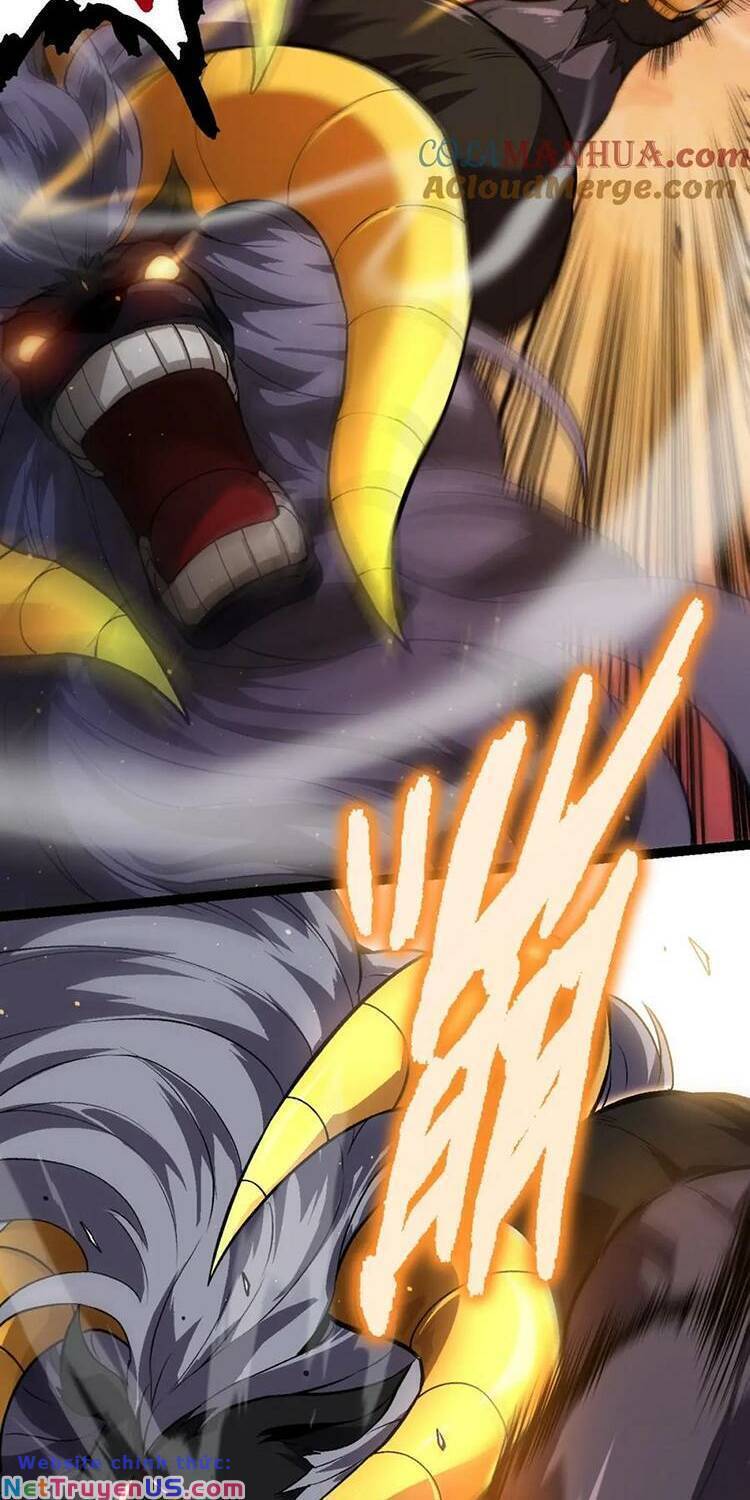 Truyện Tranh Chuyển Sinh Thành Liễu Đột Biến trang 9