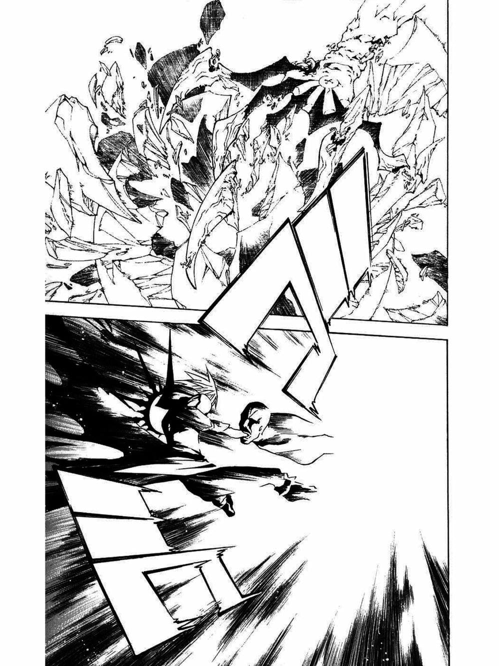 Truyện Tranh Quái Vật Sinh Ra Từ Linh Hồn Chết Chóc - D. Gray-Man trang 8