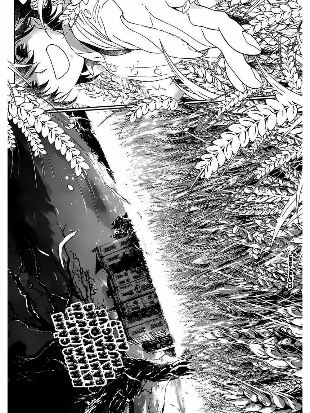 Truyện Tranh Quái Vật Sinh Ra Từ Linh Hồn Chết Chóc - D. Gray-Man trang 8