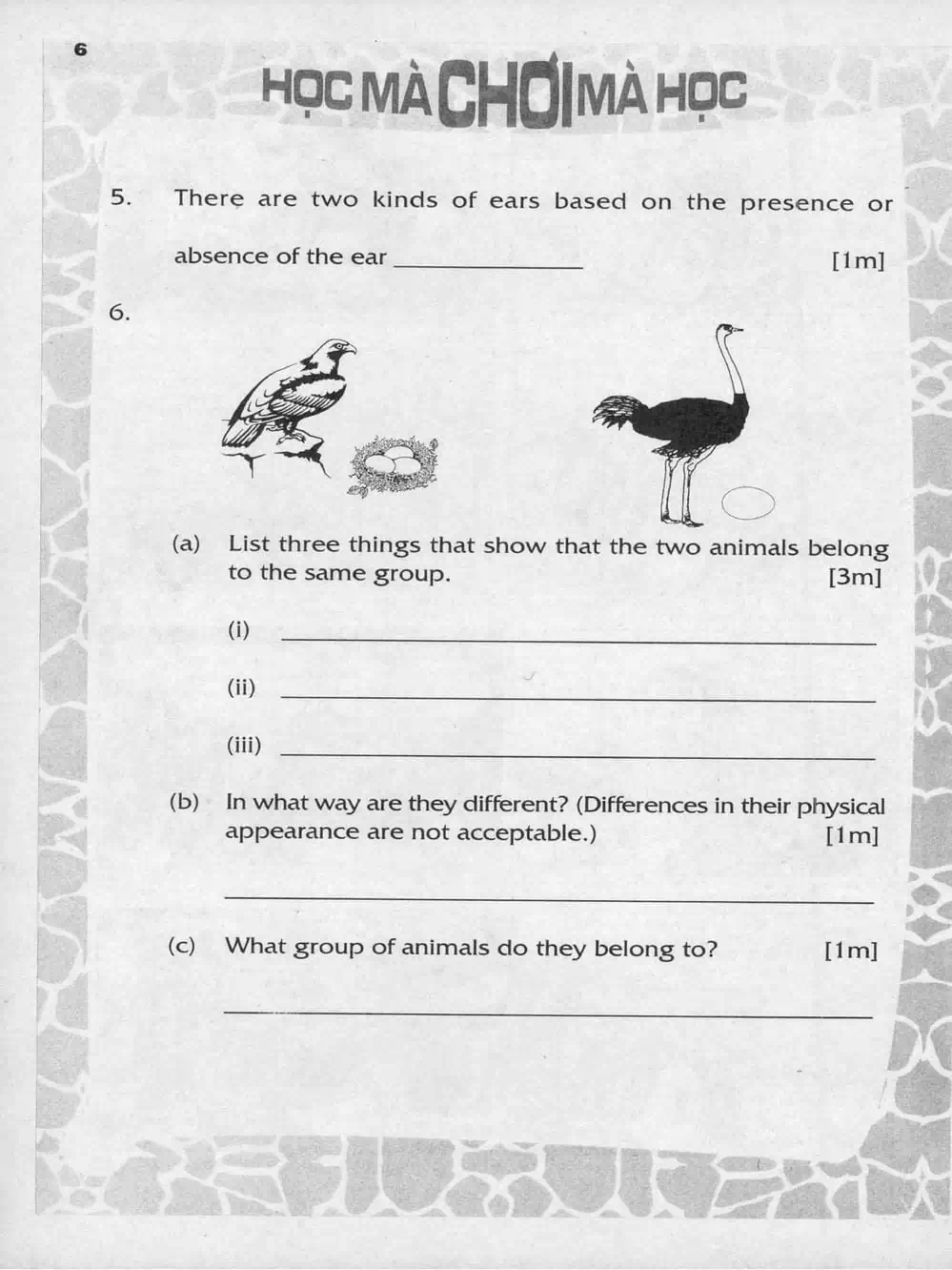 Truyện Tranh Donald Và Bạn Hữu trang 2