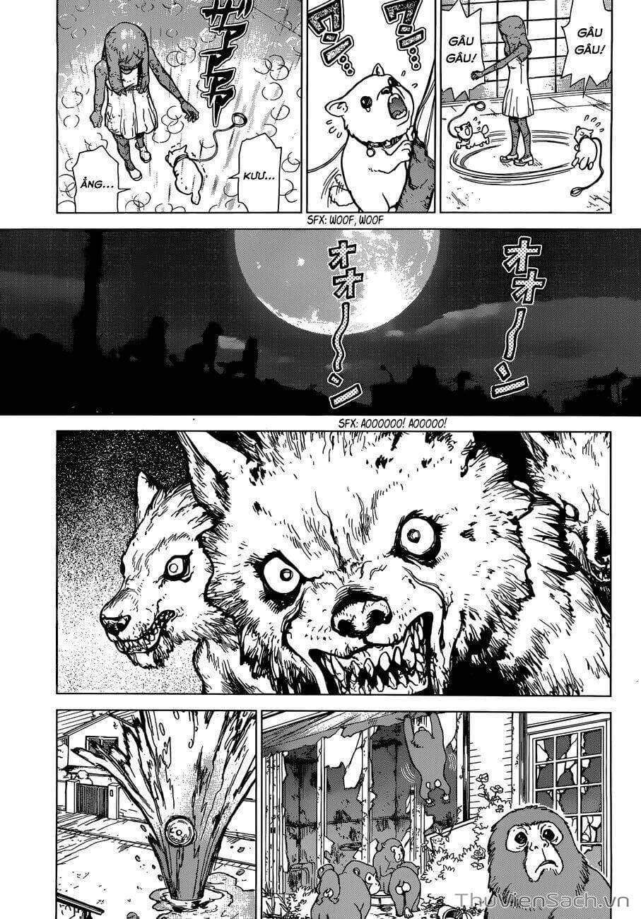 Truyện Tranh Dr. Stone - Hồi Sinh Thế Giới trang 22