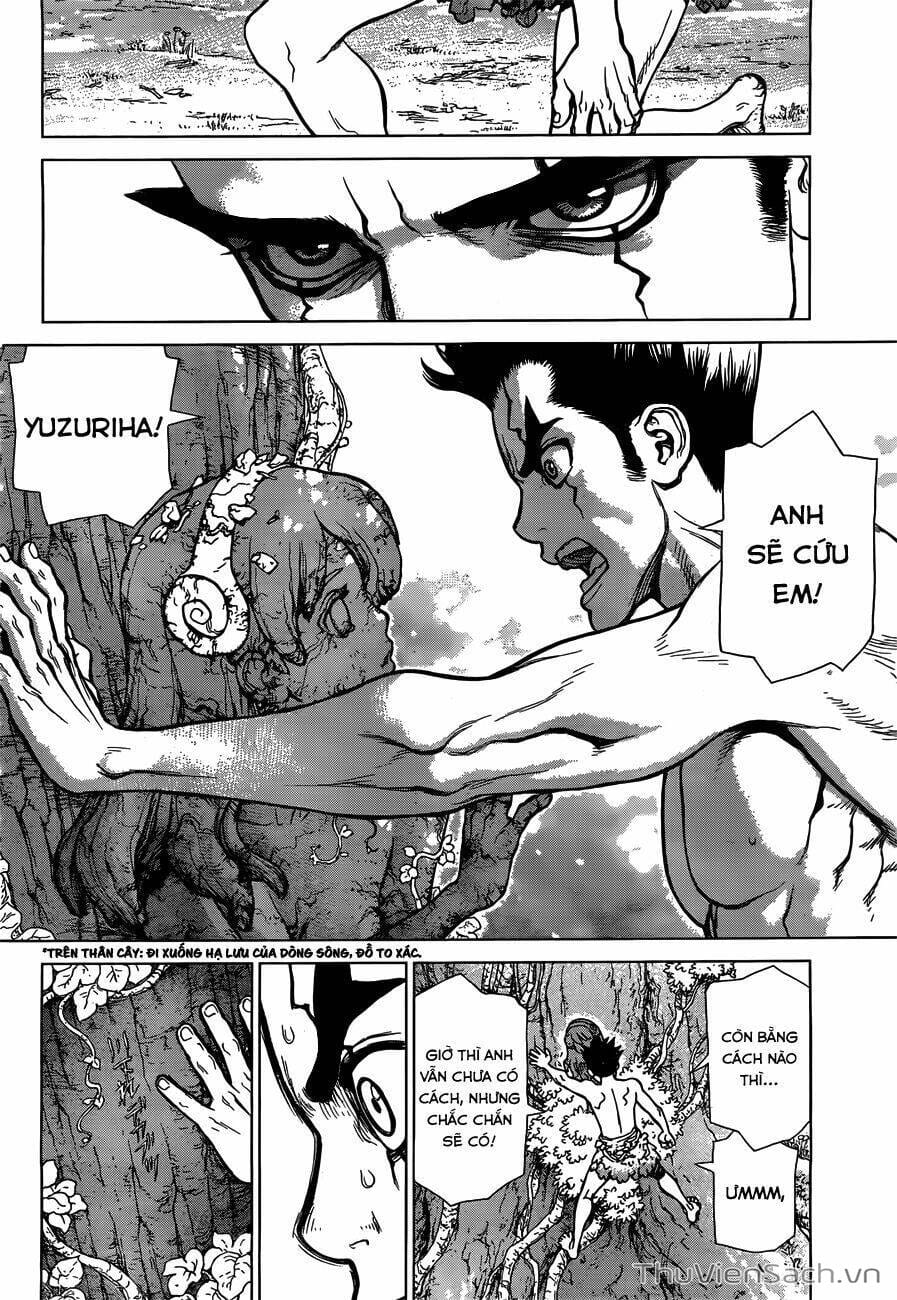 Truyện Tranh Dr. Stone - Hồi Sinh Thế Giới trang 3