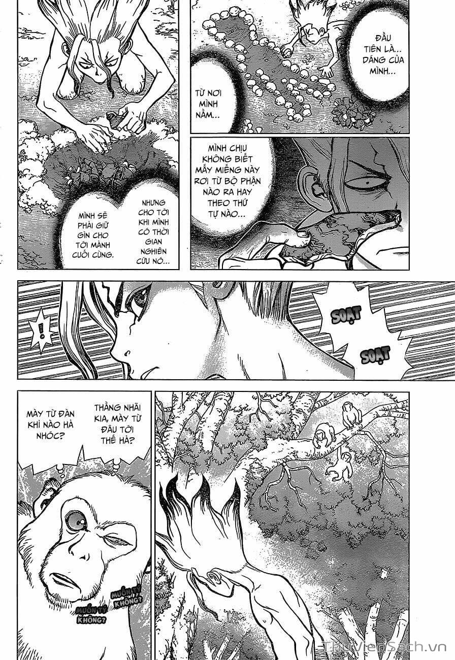 Truyện Tranh Dr. Stone - Hồi Sinh Thế Giới trang 3