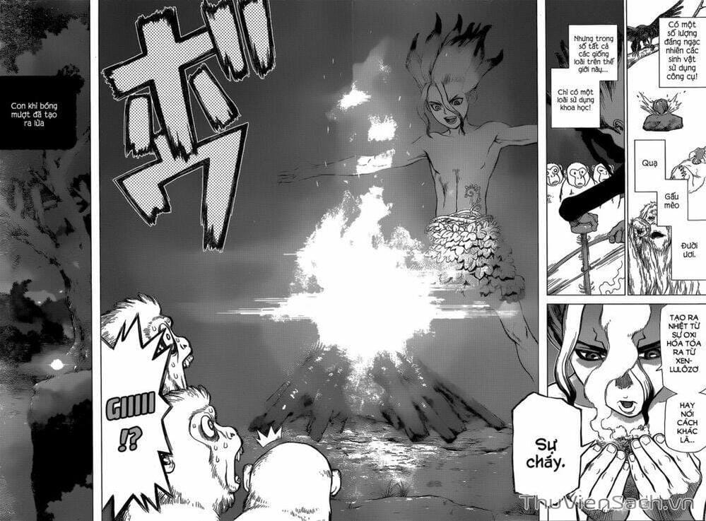 Truyện Tranh Dr. Stone - Hồi Sinh Thế Giới trang 3