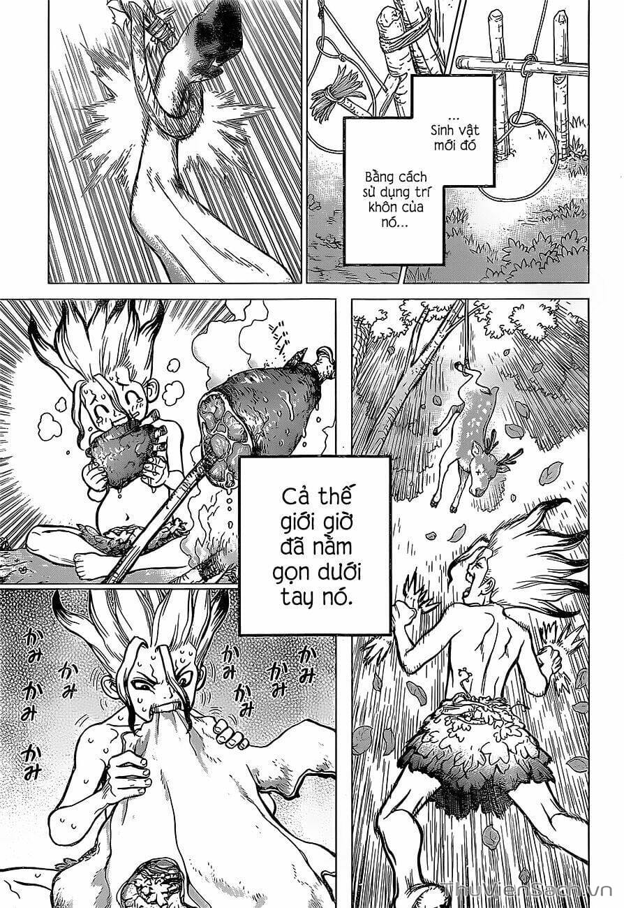 Truyện Tranh Dr. Stone - Hồi Sinh Thế Giới trang 3