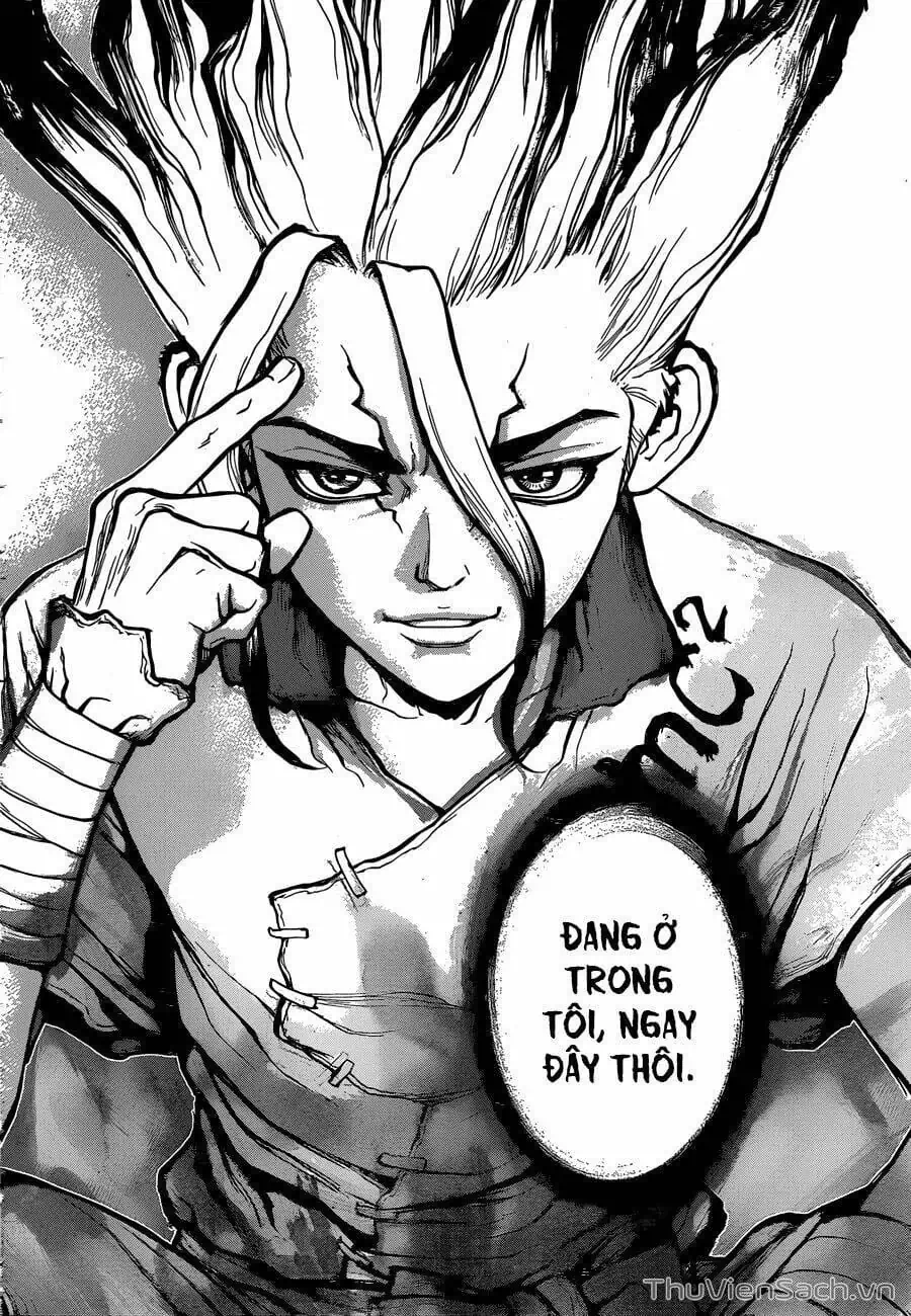 Truyện Tranh Dr. Stone - Hồi Sinh Thế Giới trang 3
