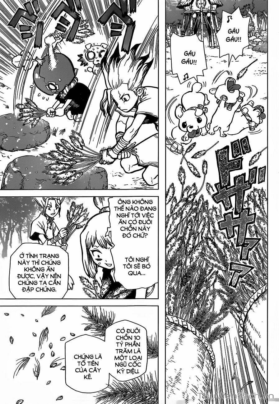 Truyện Tranh Dr. Stone - Hồi Sinh Thế Giới trang 410