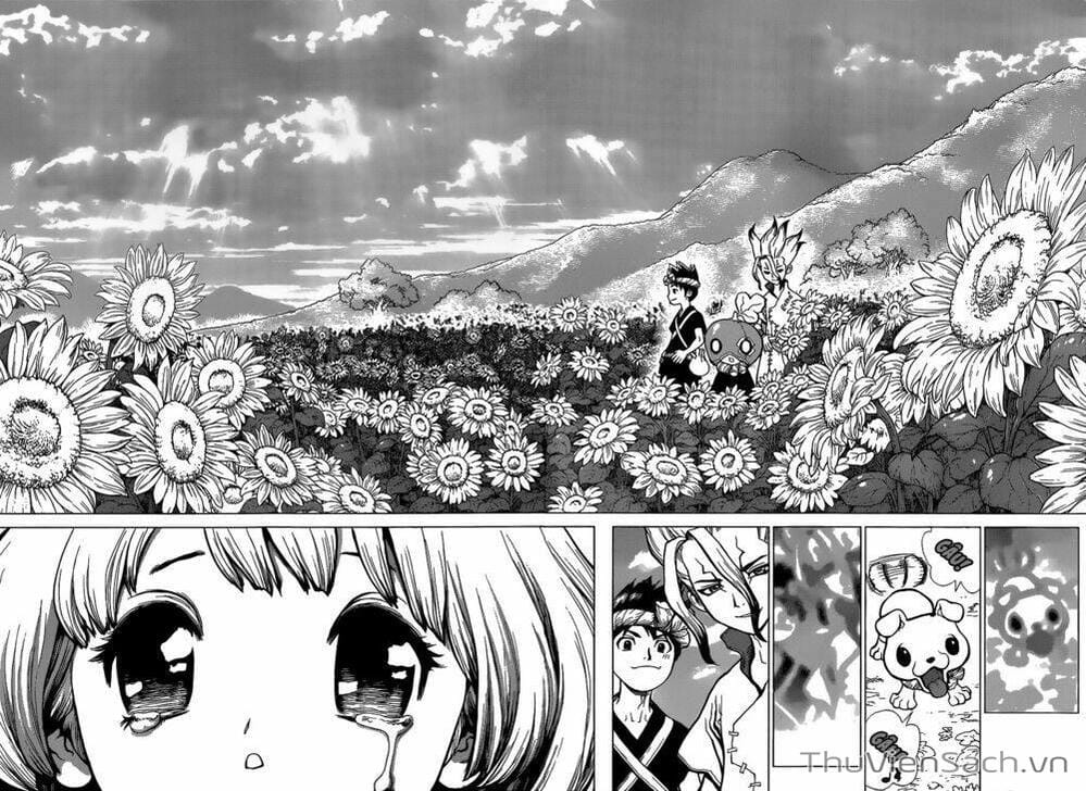 Truyện Tranh Dr. Stone - Hồi Sinh Thế Giới trang 529