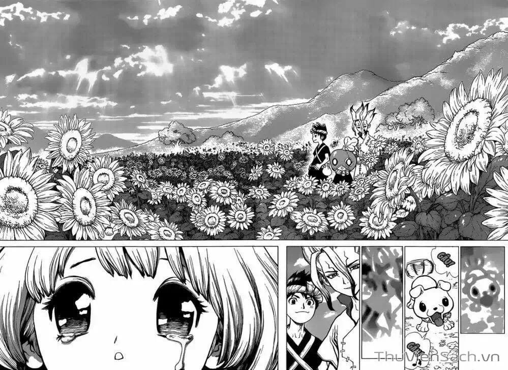 Truyện Tranh Dr. Stone - Hồi Sinh Thế Giới trang 3