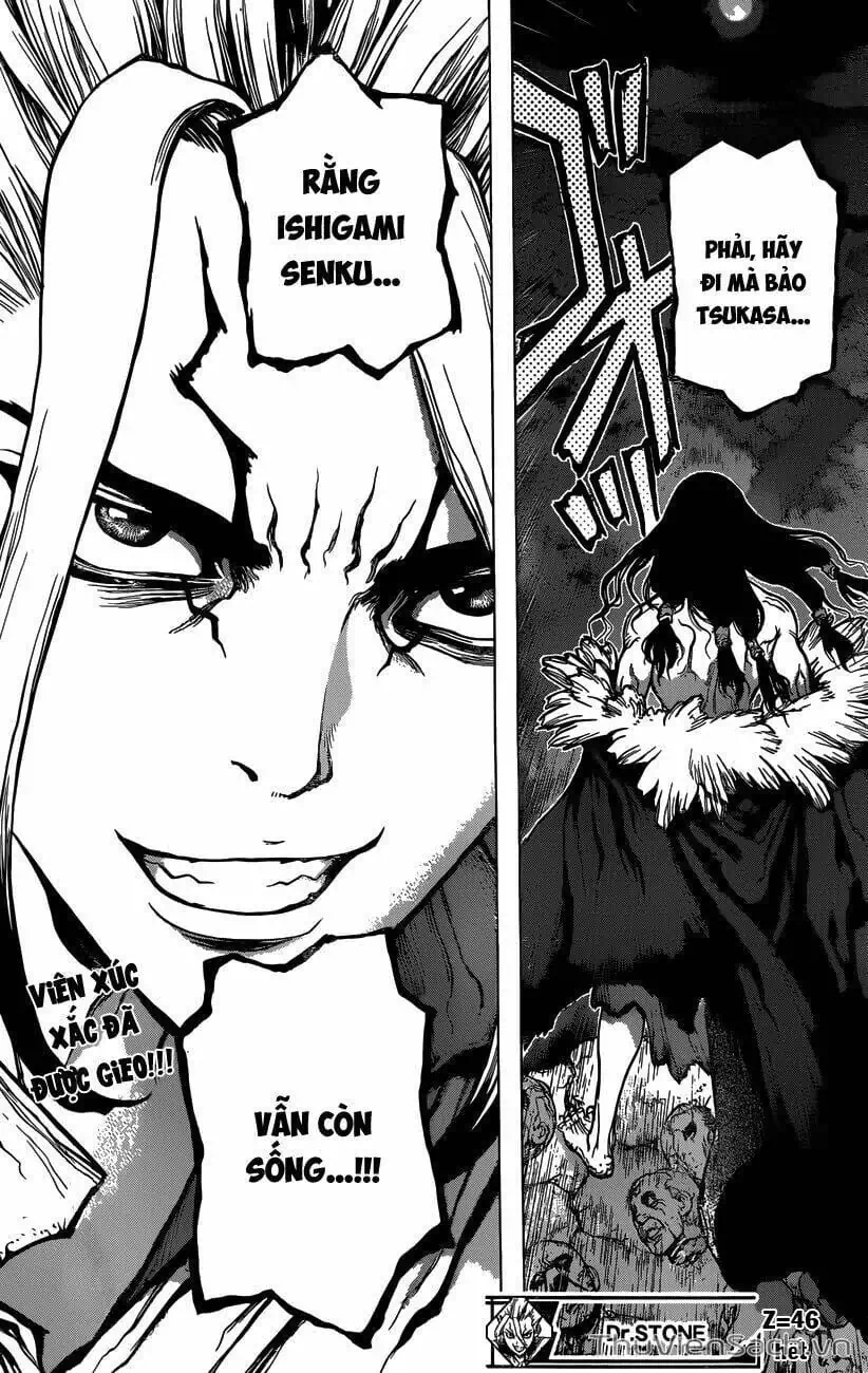 Truyện Tranh Dr. Stone - Hồi Sinh Thế Giới trang 3