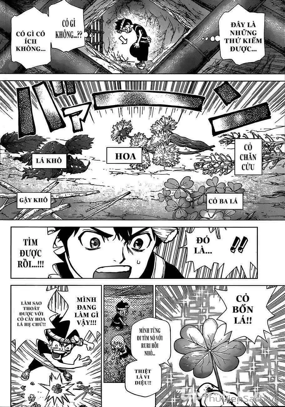 Truyện Tranh Dr. Stone - Hồi Sinh Thế Giới trang 3