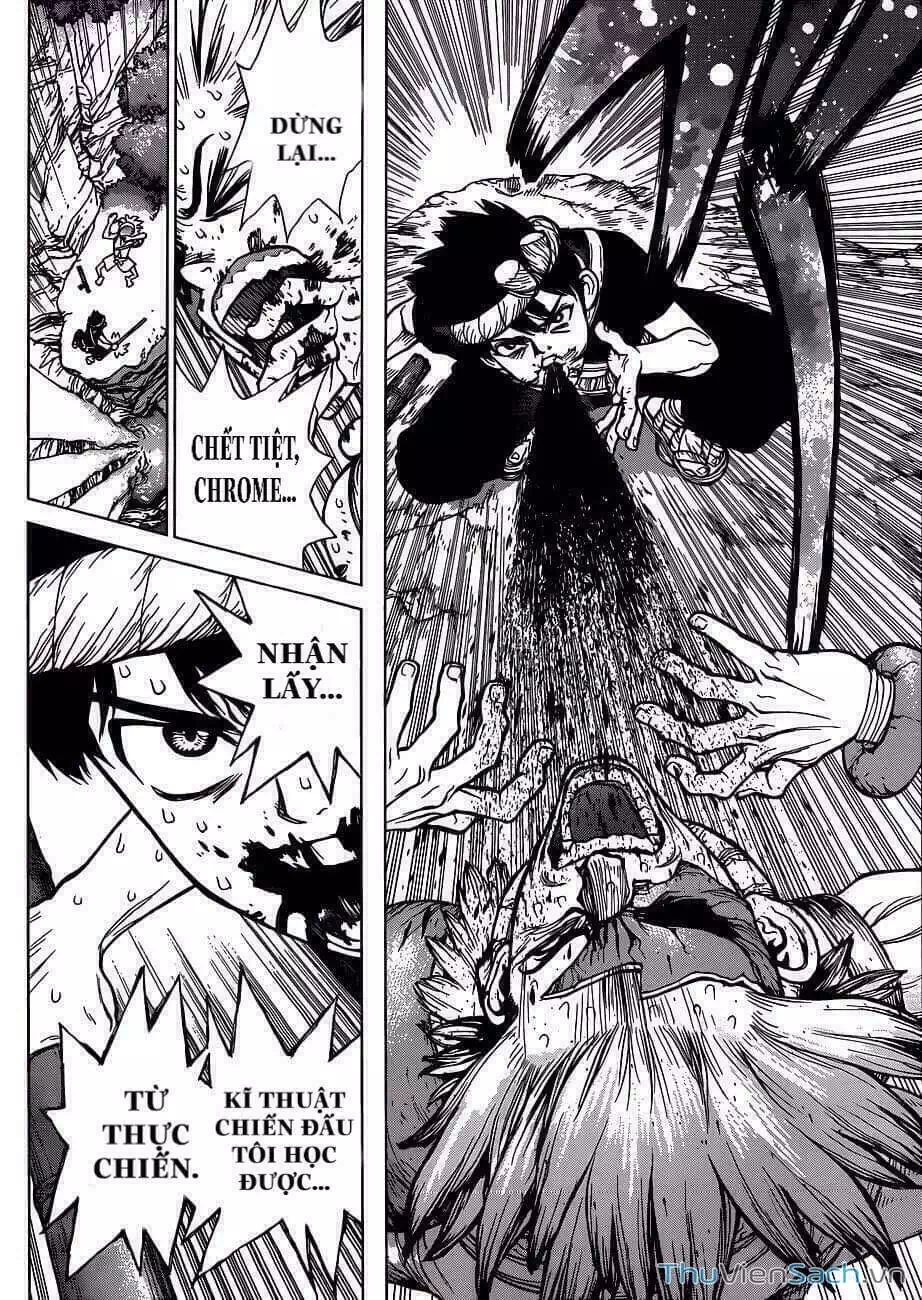 Truyện Tranh Dr. Stone - Hồi Sinh Thế Giới trang 3