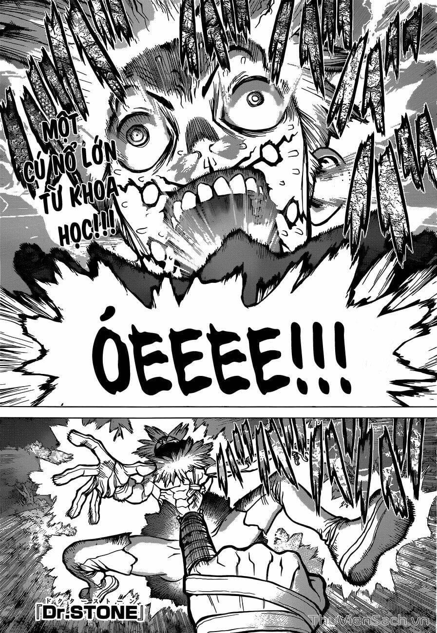 Truyện Tranh Dr. Stone - Hồi Sinh Thế Giới trang 3