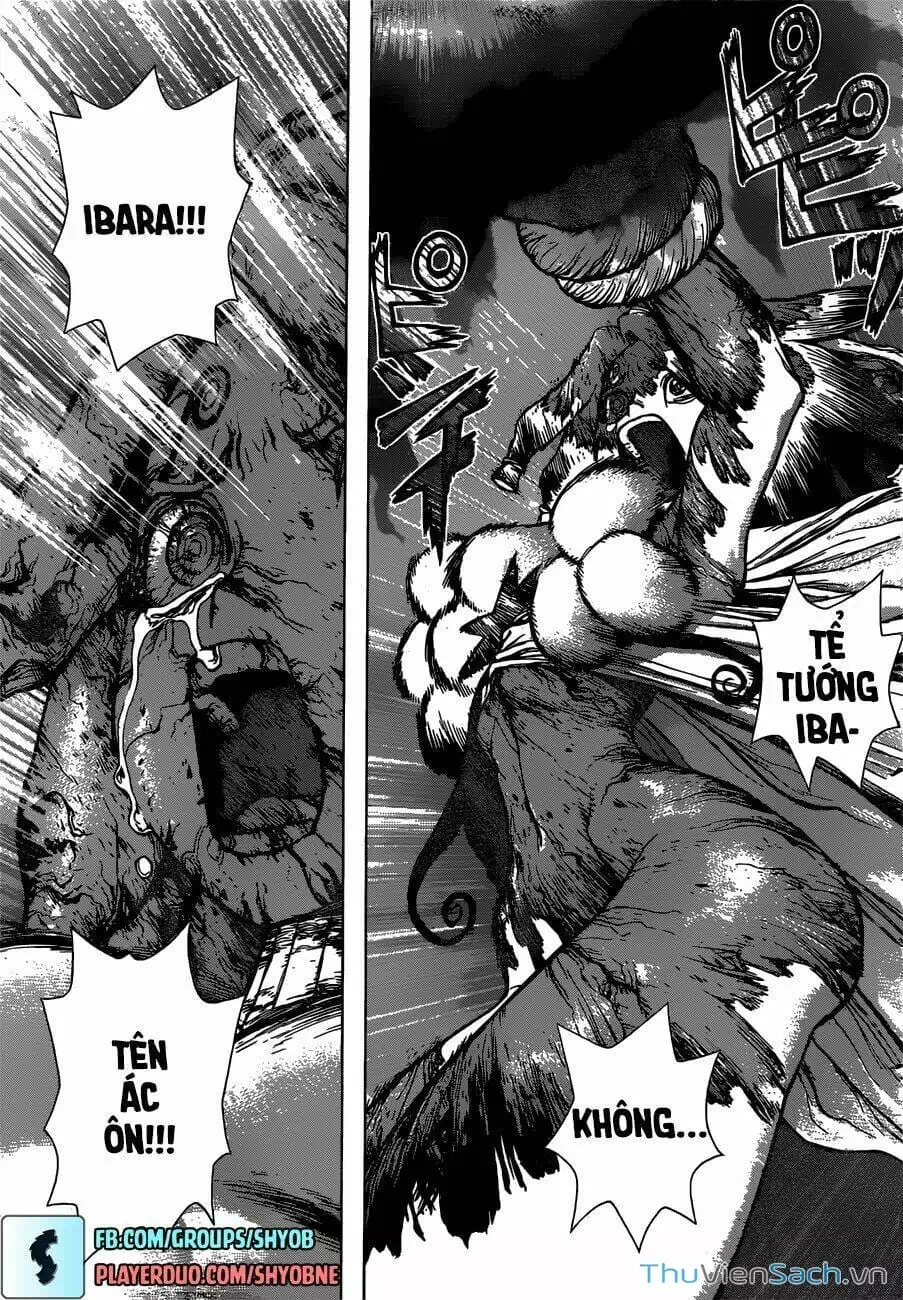 Truyện Tranh Dr. Stone - Hồi Sinh Thế Giới trang 3