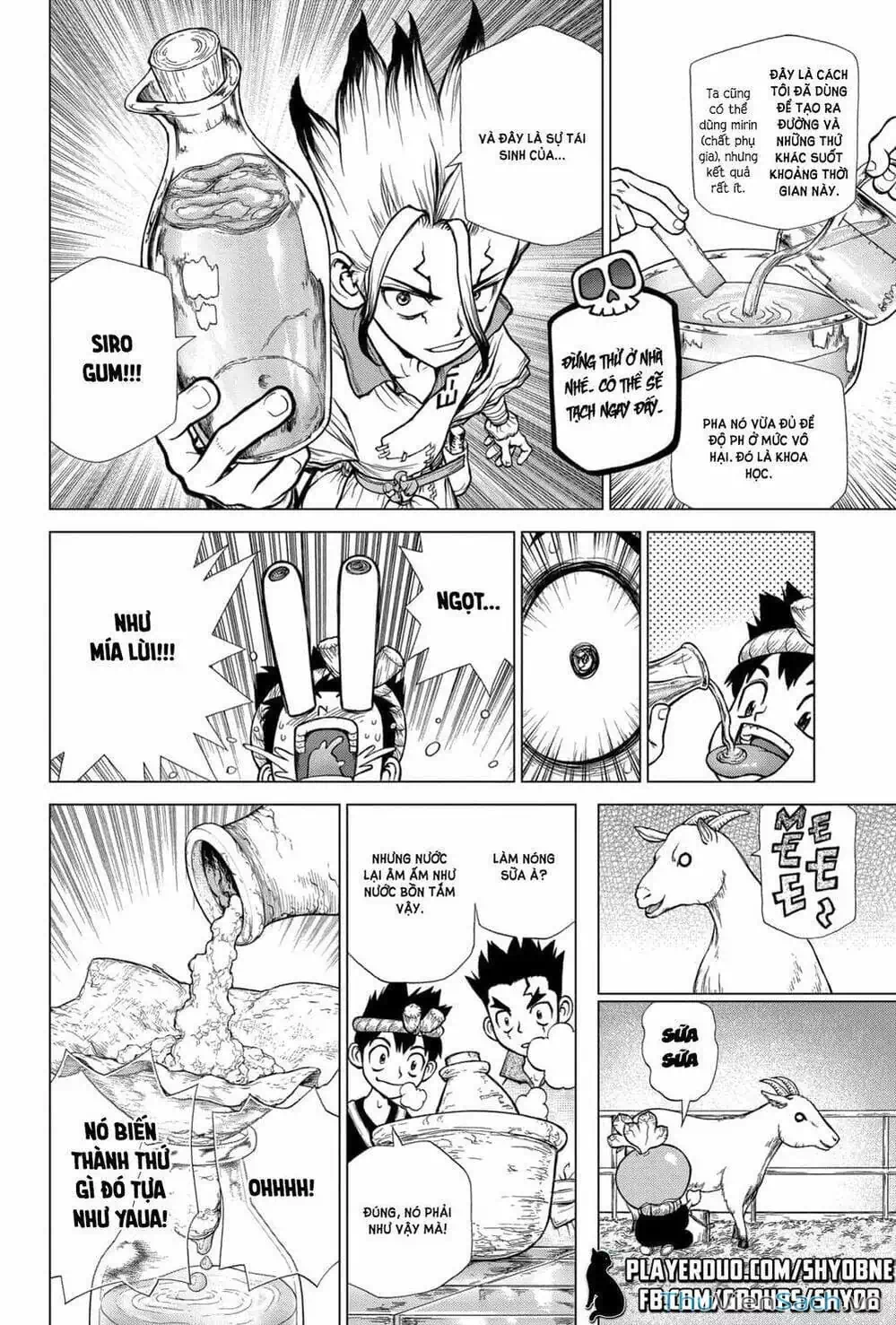 Truyện Tranh Dr. Stone - Hồi Sinh Thế Giới trang 3
