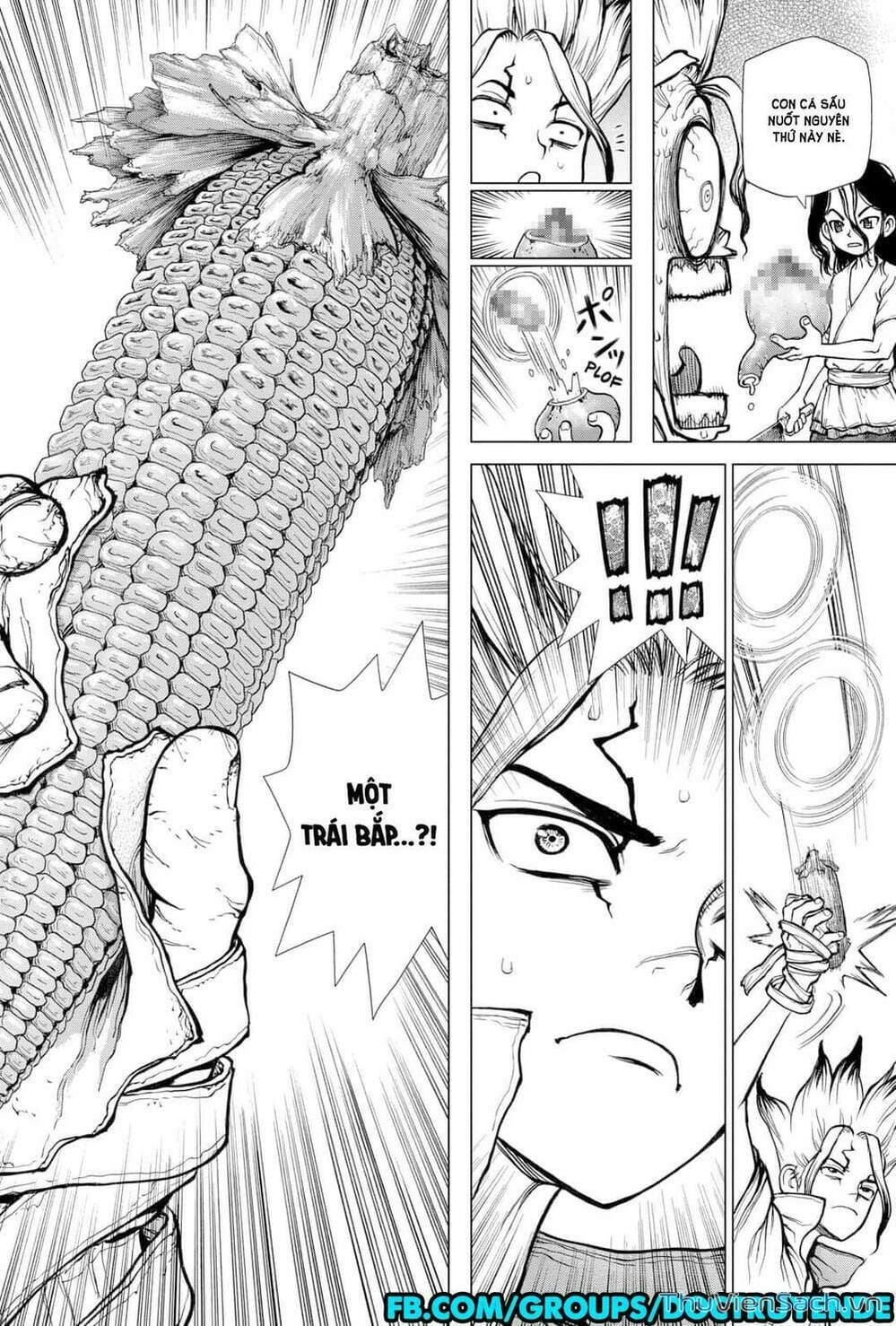 Truyện Tranh Dr. Stone - Hồi Sinh Thế Giới trang 3