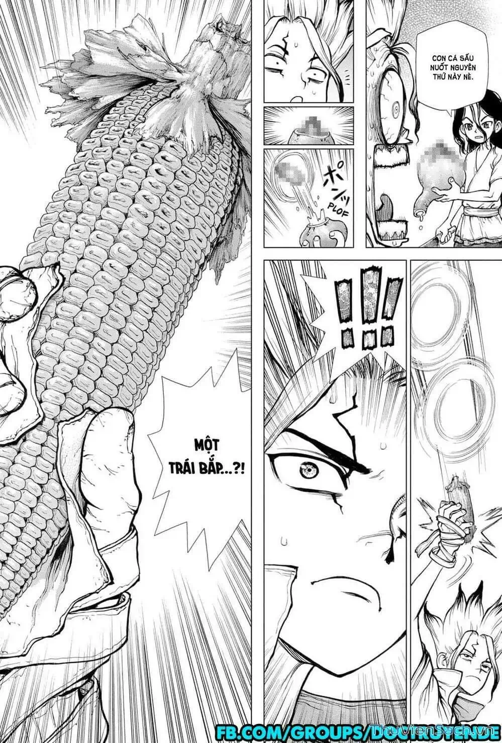 Truyện Tranh Dr. Stone - Hồi Sinh Thế Giới trang 3