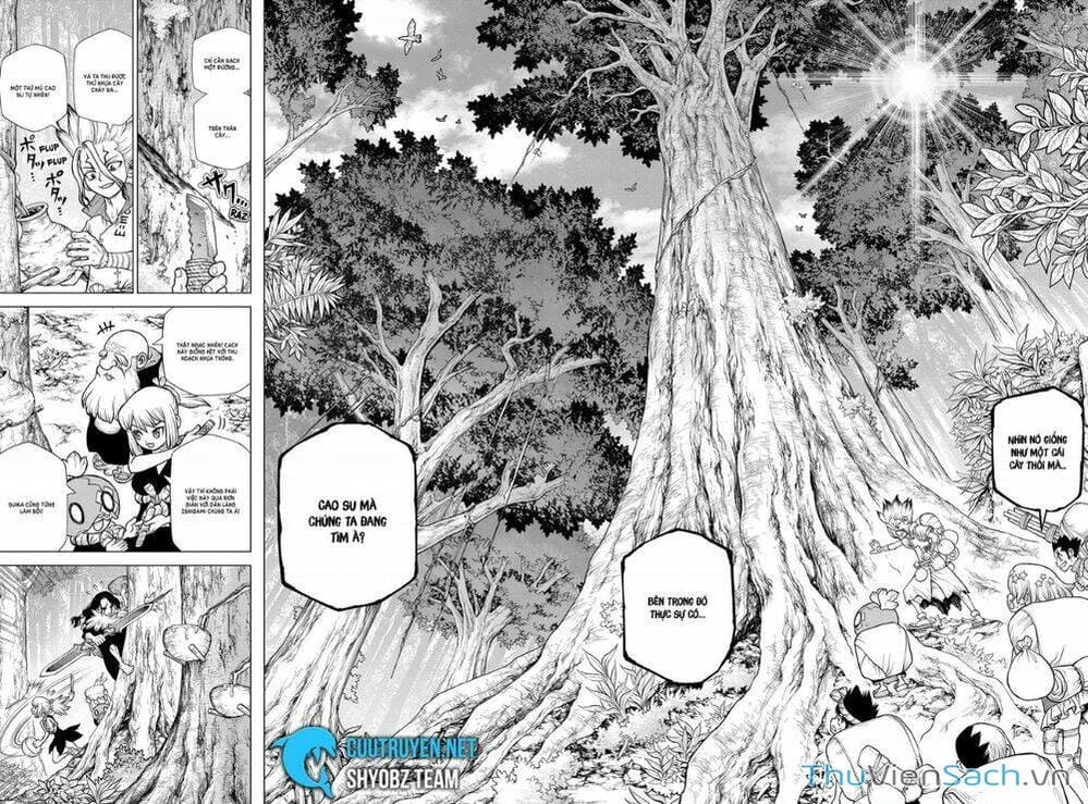Truyện Tranh Dr. Stone - Hồi Sinh Thế Giới trang 3