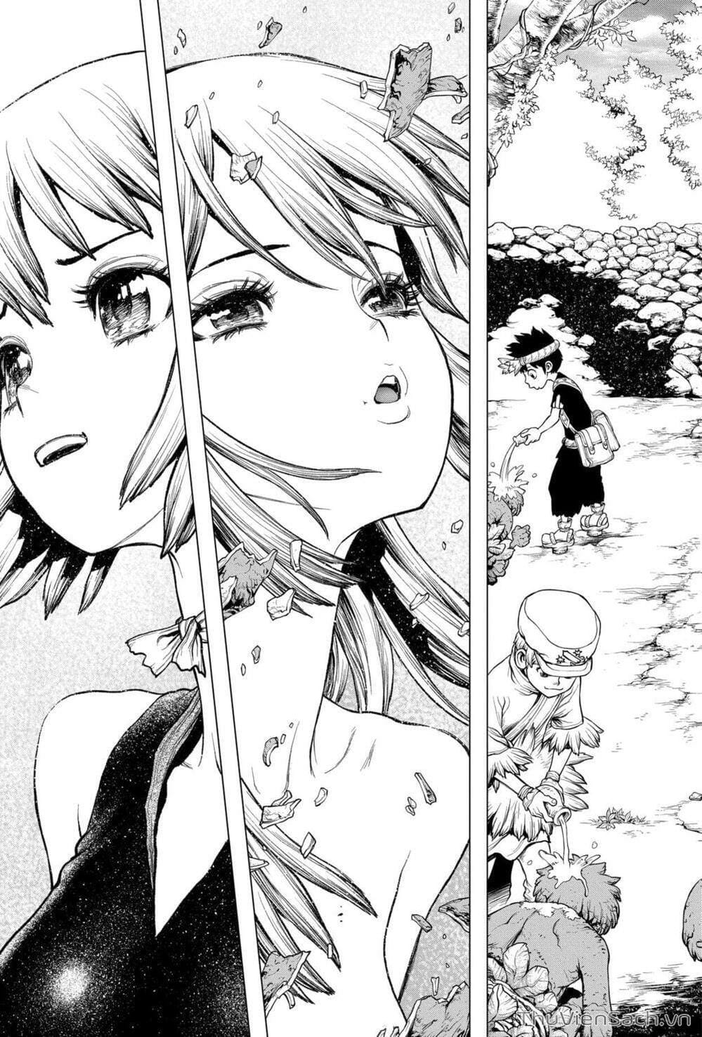 Truyện Tranh Dr. Stone - Hồi Sinh Thế Giới trang 3