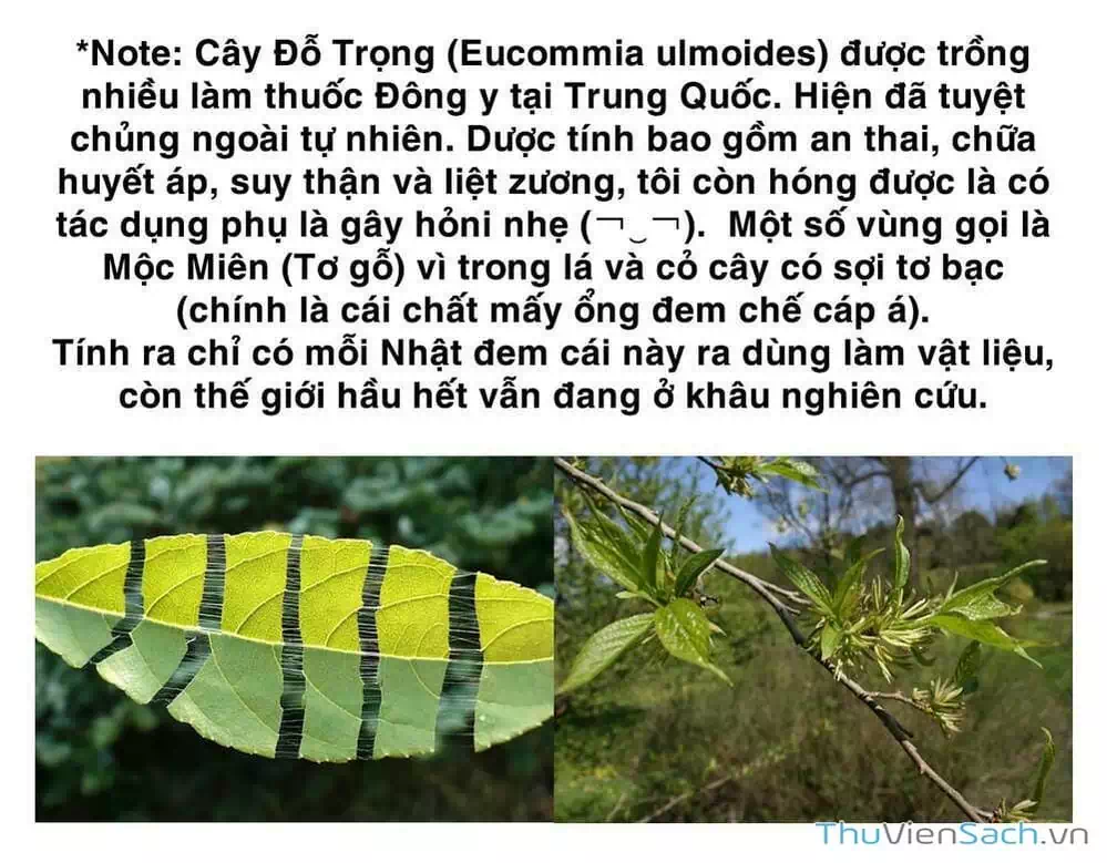 Truyện Tranh Dr. Stone - Hồi Sinh Thế Giới trang 3