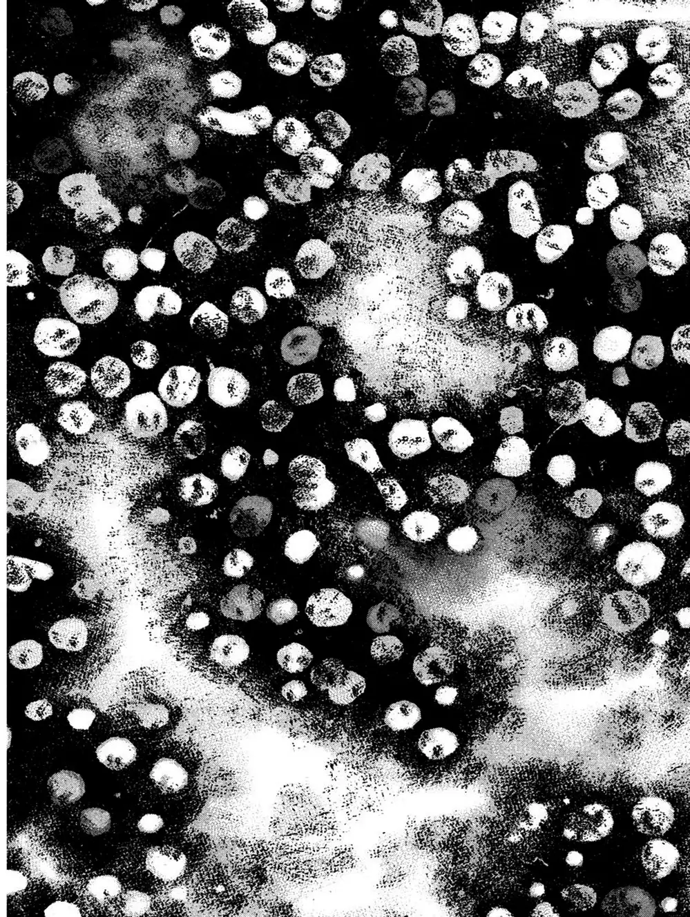 Truyện Tranh Thảm Họa Truyền Nhiễm - Emerging trang 5