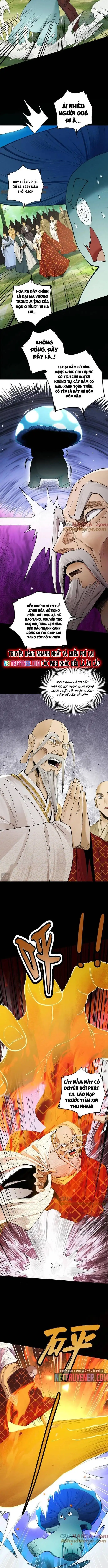 Truyện Tranh Gặp Mạnh Thì Càng Mạnh, Tu Vi Của Ta Không Giới Hạn trang 9