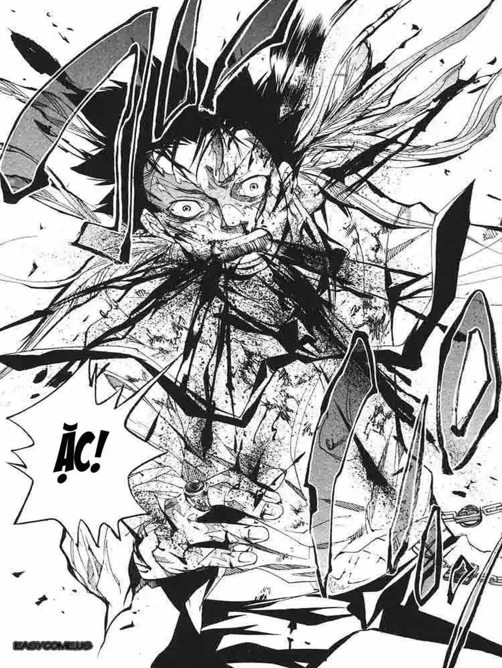 Truyện Tranh Gia Sư Hitman Reborn trang 6