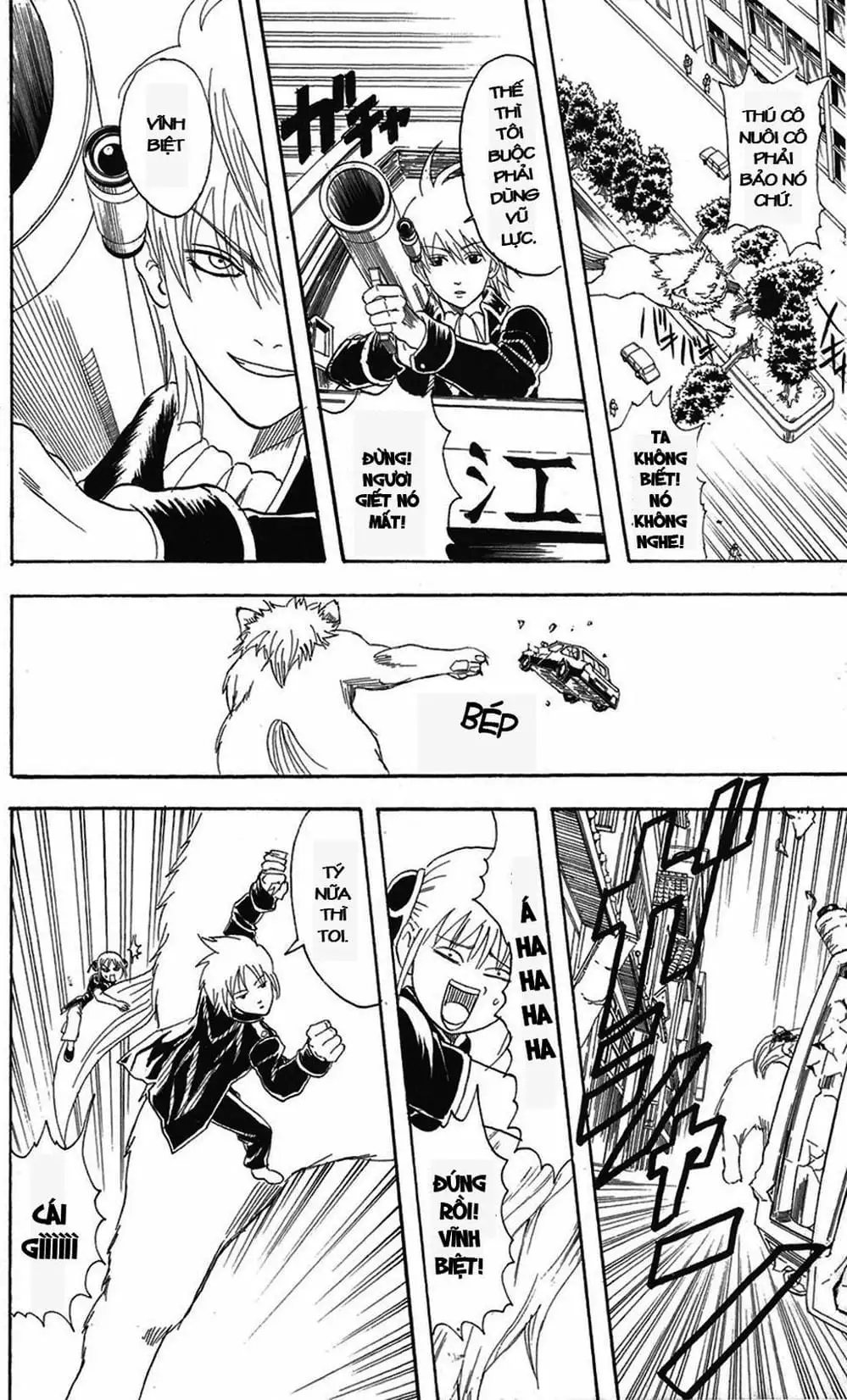 Truyện Tranh Gintama Linh Hồn Bạc: Luật Lệ Đặt Ra Là Để Phá Bỏ trang 7