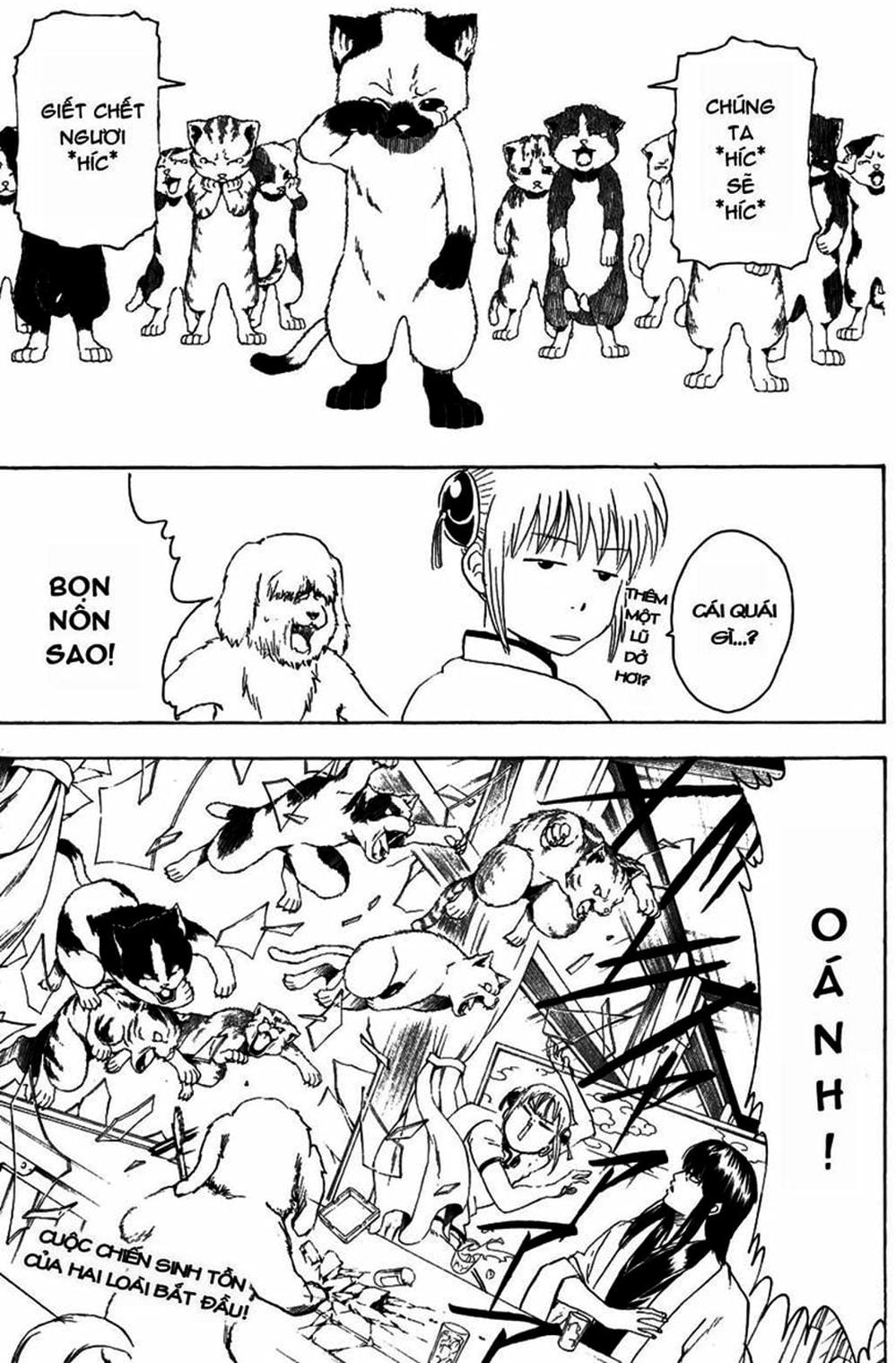 Truyện Tranh Gintama Linh Hồn Bạc: Luật Lệ Đặt Ra Là Để Phá Bỏ trang 7