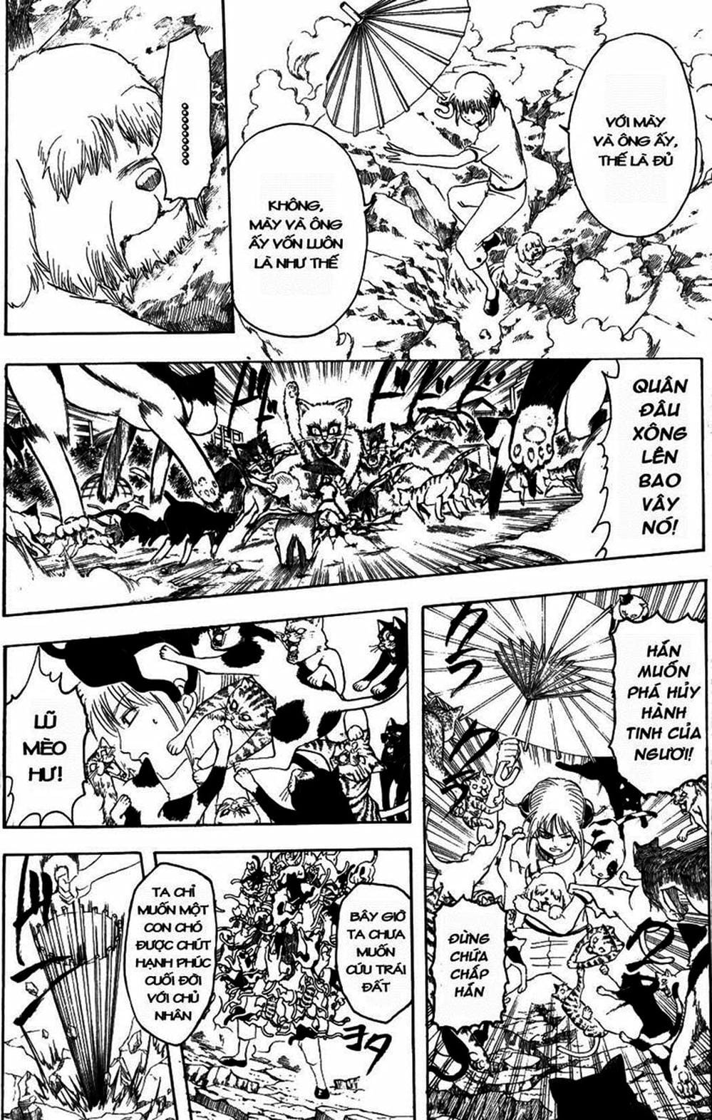 Truyện Tranh Gintama Linh Hồn Bạc: Luật Lệ Đặt Ra Là Để Phá Bỏ trang 7