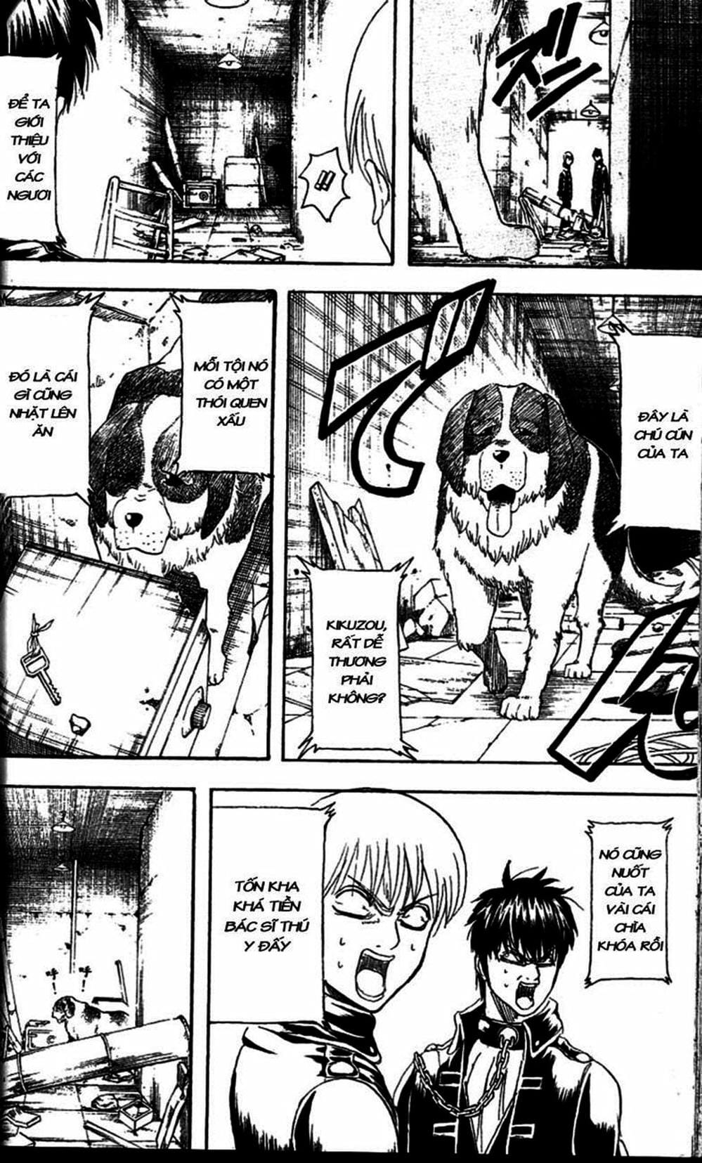 Truyện Tranh Gintama Linh Hồn Bạc: Luật Lệ Đặt Ra Là Để Phá Bỏ trang 7