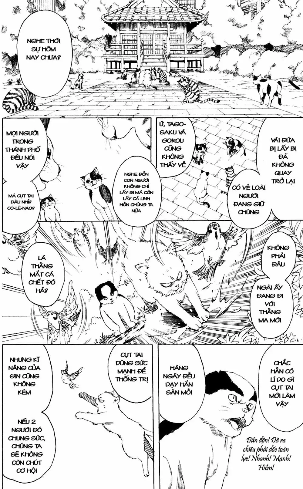 Truyện Tranh Gintama Linh Hồn Bạc: Luật Lệ Đặt Ra Là Để Phá Bỏ trang 7