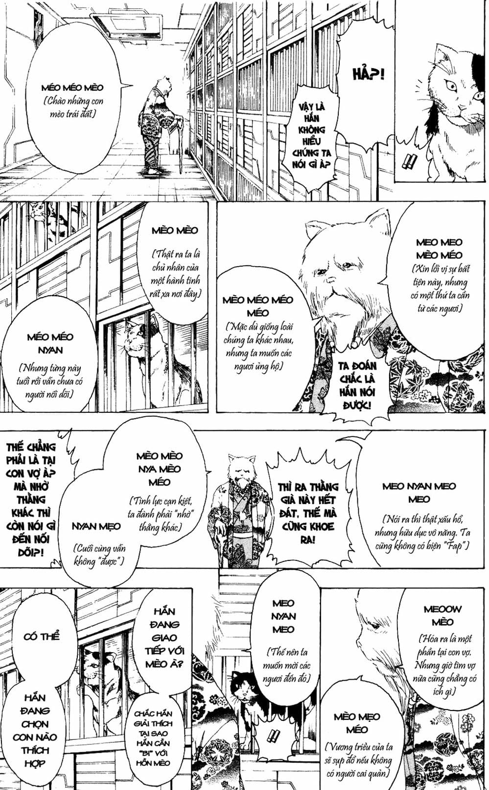 Truyện Tranh Gintama Linh Hồn Bạc: Luật Lệ Đặt Ra Là Để Phá Bỏ trang 7