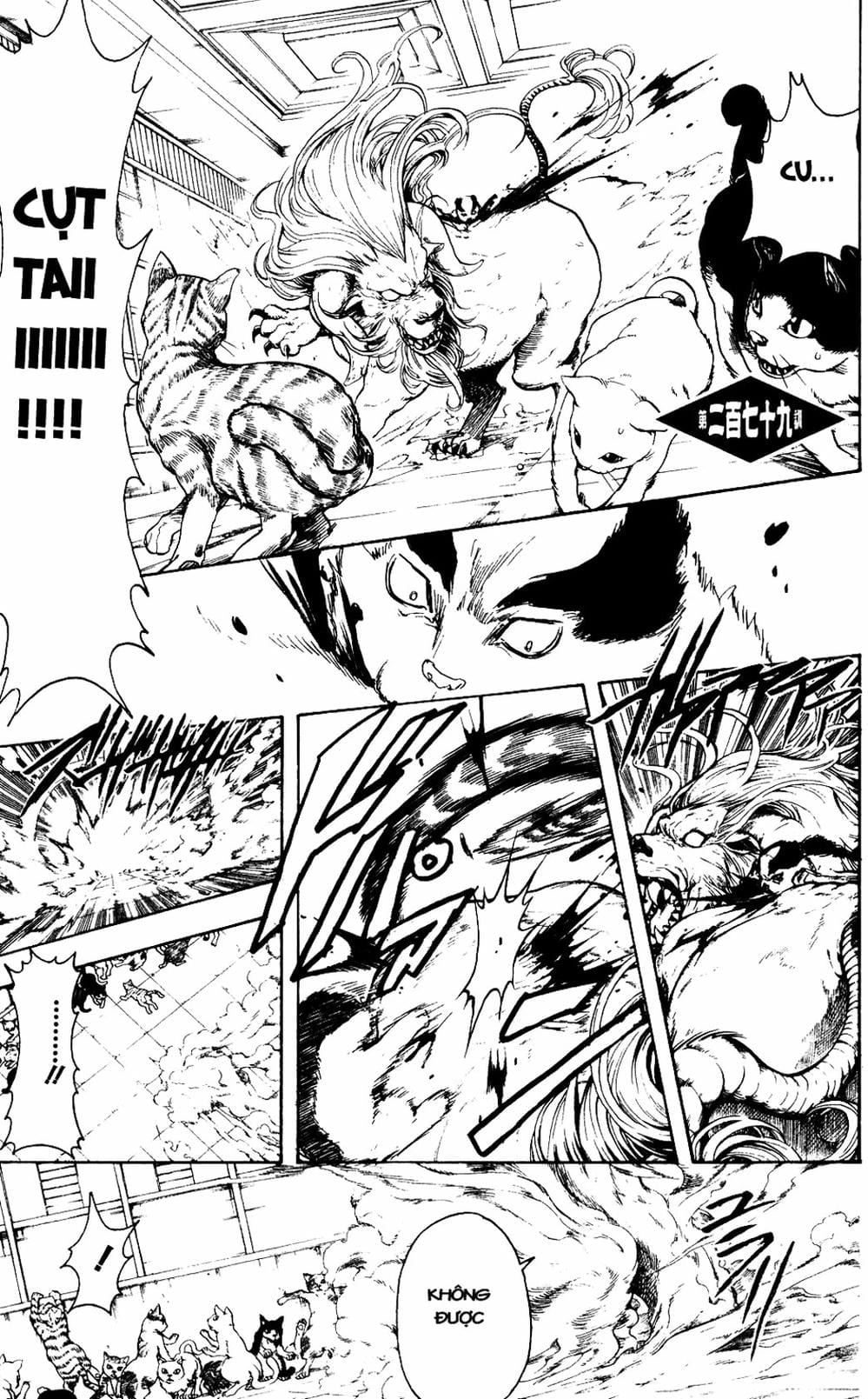 Truyện Tranh Gintama Linh Hồn Bạc: Luật Lệ Đặt Ra Là Để Phá Bỏ trang 7