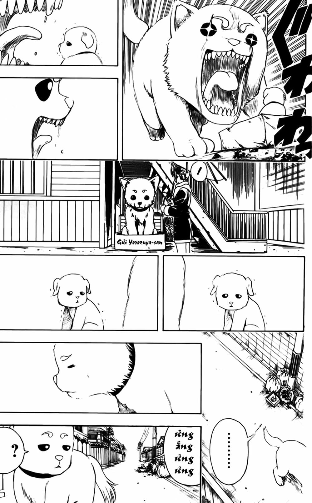 Truyện Tranh Gintama Linh Hồn Bạc: Luật Lệ Đặt Ra Là Để Phá Bỏ trang 7