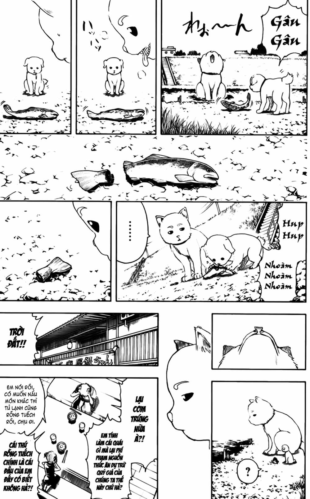 Truyện Tranh Gintama Linh Hồn Bạc: Luật Lệ Đặt Ra Là Để Phá Bỏ trang 7