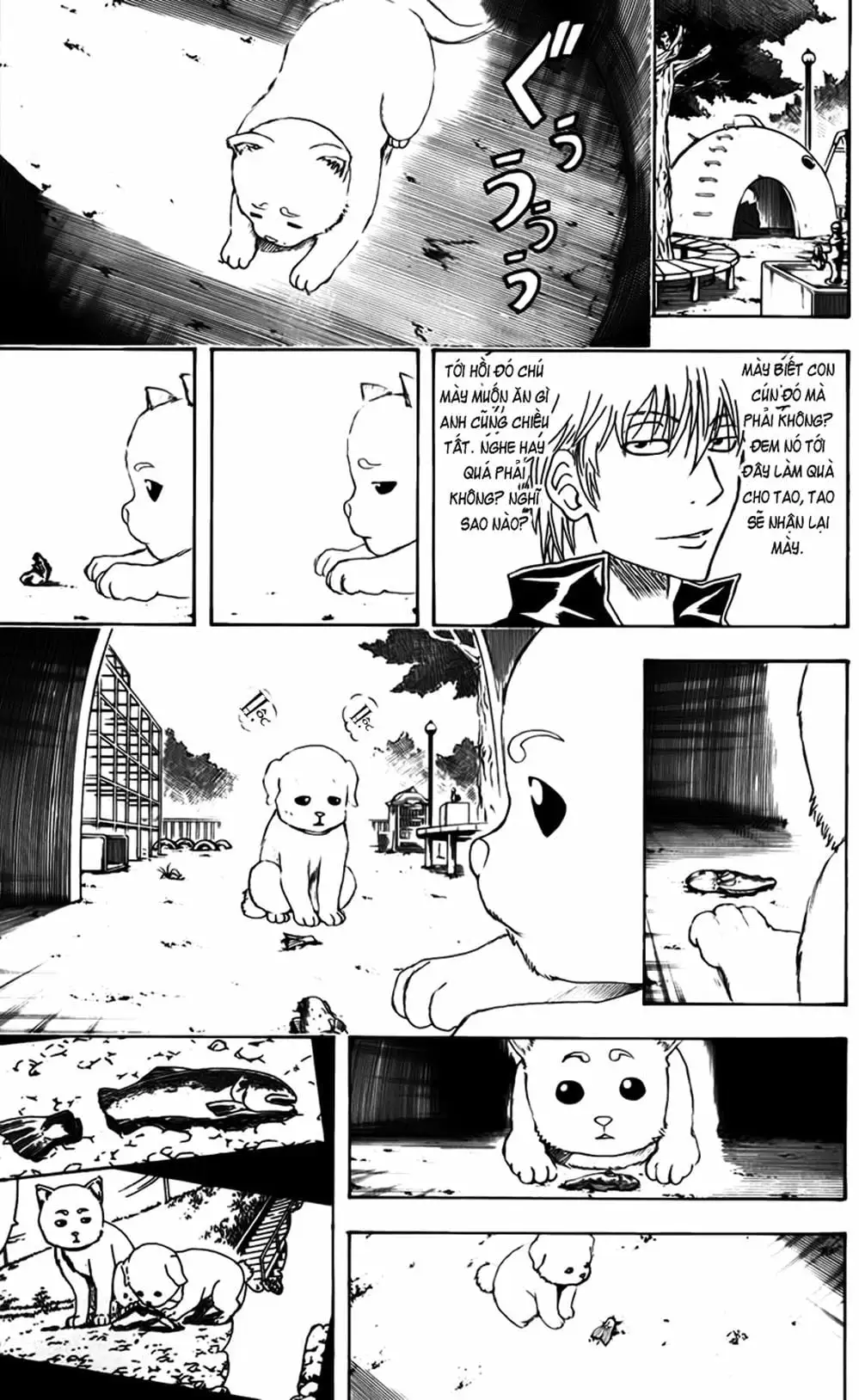 Truyện Tranh Gintama Linh Hồn Bạc: Luật Lệ Đặt Ra Là Để Phá Bỏ trang 7