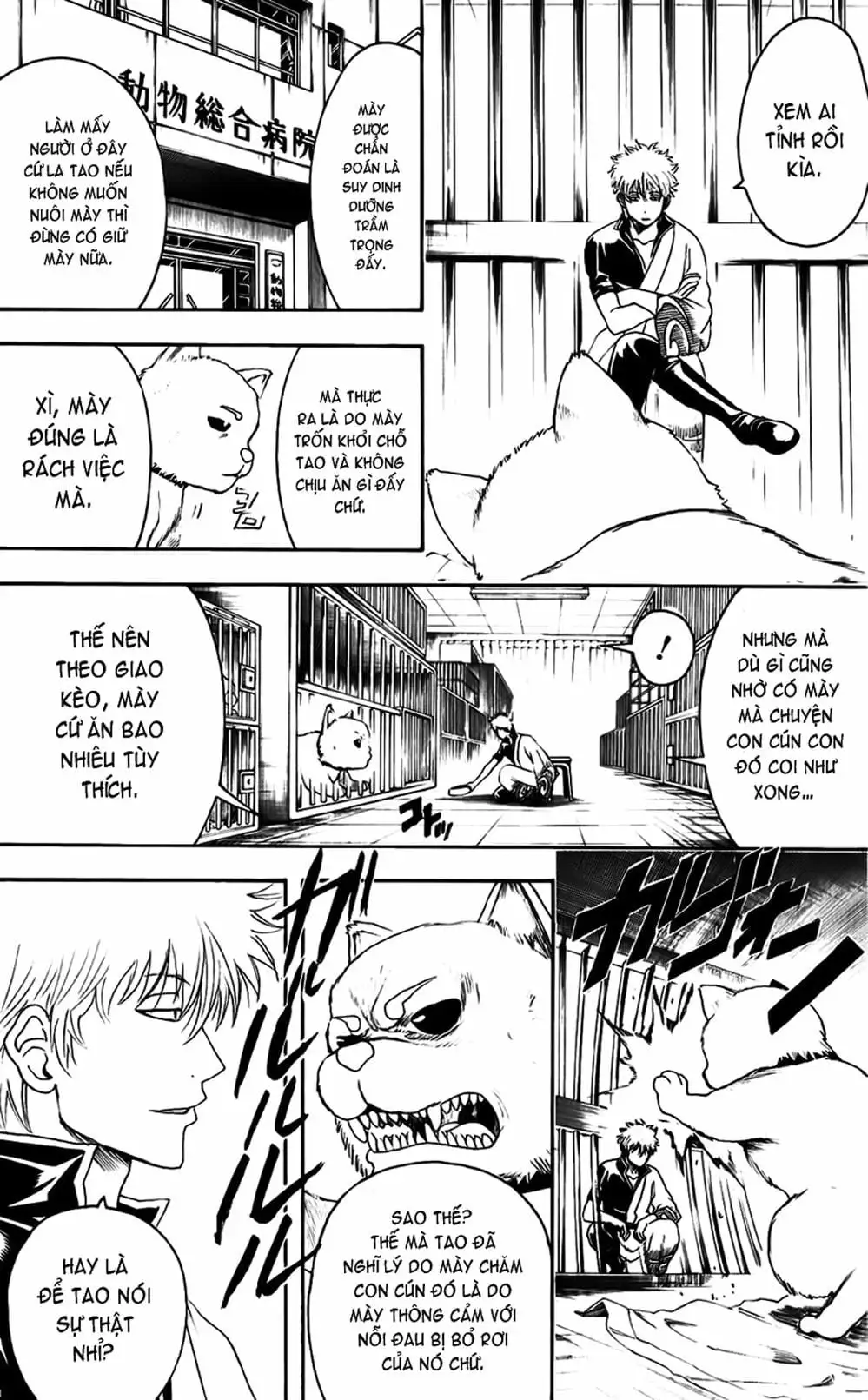 Truyện Tranh Gintama Linh Hồn Bạc: Luật Lệ Đặt Ra Là Để Phá Bỏ trang 7